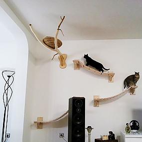 pet-cats-dogs-furniture-ideas-35