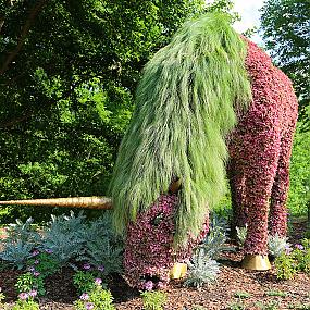 scorptures-atlanta-botanical-gardens-6