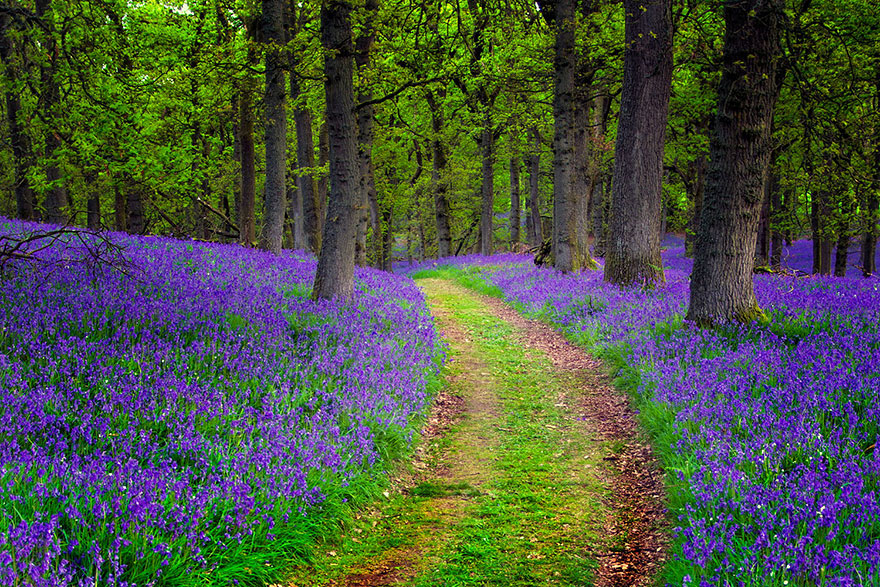 scotland-landscape-by-photography-9