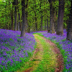 scotland-landscape-by-photography-9