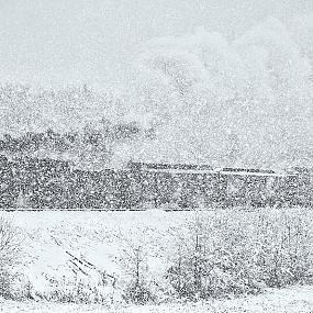 steam-train-matthew-malkiewicz-8