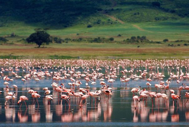 Лучшие острова планеты от National Geographic Treveler - Пемба, Танзания