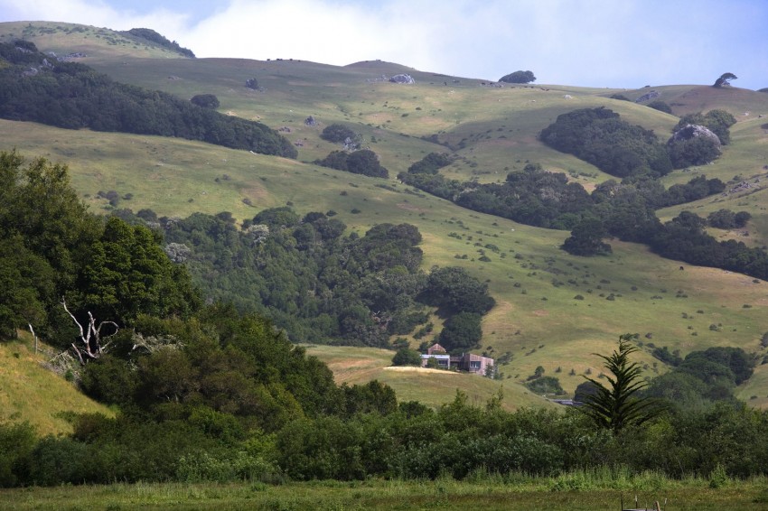 west-marin-ranch-griffin-1