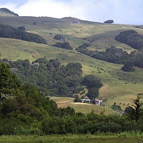 west-marin-ranch-griffin-1