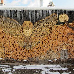 wood-pile-art-photography-1