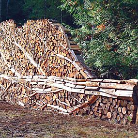 wood-pile-art-photography-2