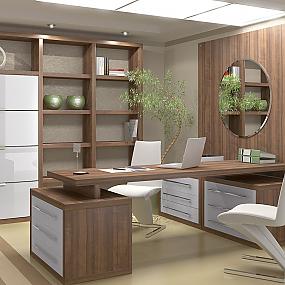 work-using-shui-office-14