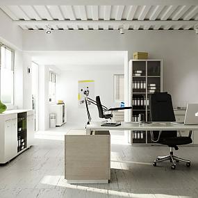 work-using-shui-office-19