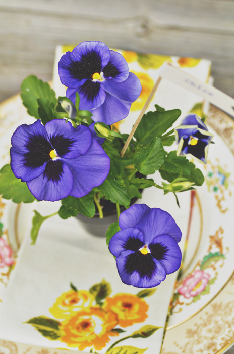 DIY проект цветочных сувениров для летней свадьбы