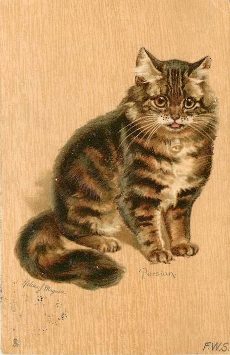 Открытки с кошками Кошки, худ.H.J. Maguire, 1903 год.