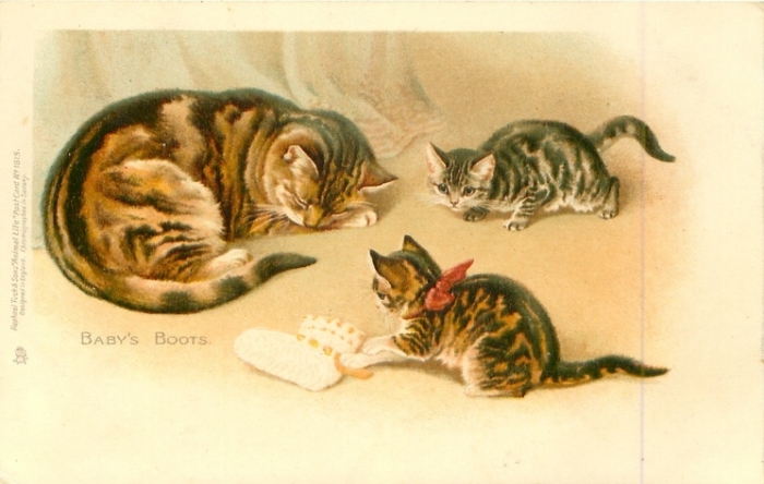 Открытки с кошками Кошки, худ.H.J. Maguire, 1903 год.
