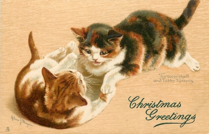 Открытки с кошками Кошки, худ.H.J. Maguire, 1903 год.