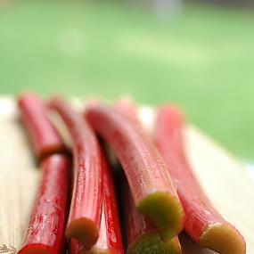rhubarb-crunch-cooking-recipe-04