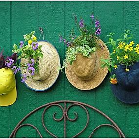 creative-recycled-planter-ideas-10