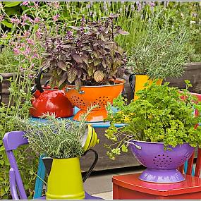 creative-recycled-planter-ideas-5