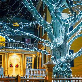 outdoor-christmas-lighting-decorations-26