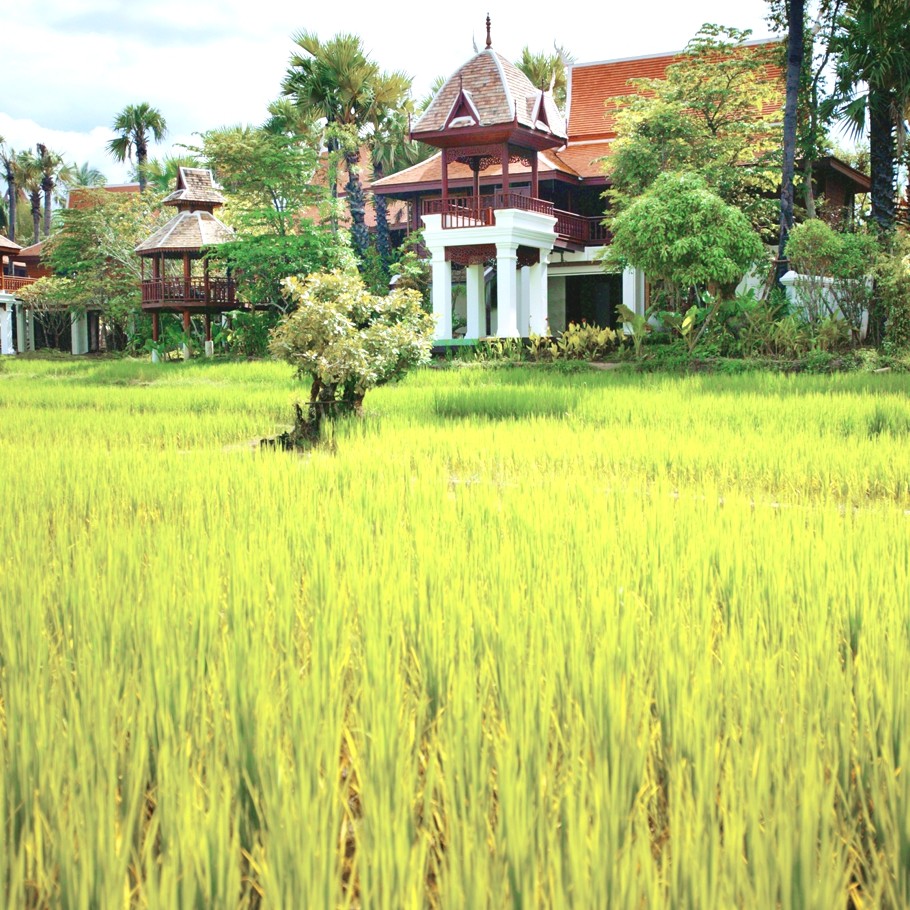 luxury-hotel-thailand