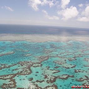 barrier-reef-coral-australia-05