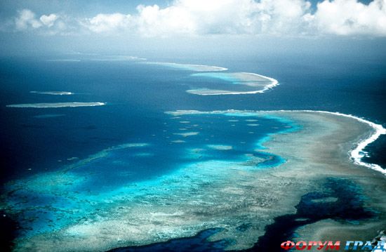 barrier-reef-coral-australia-12