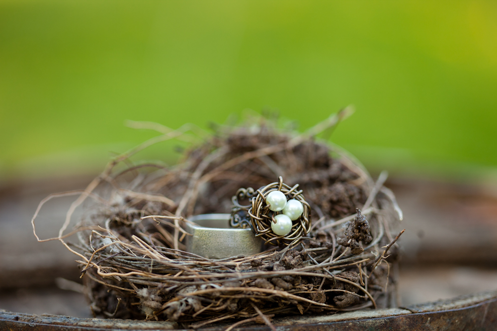 bird-themed-wedding-ideas