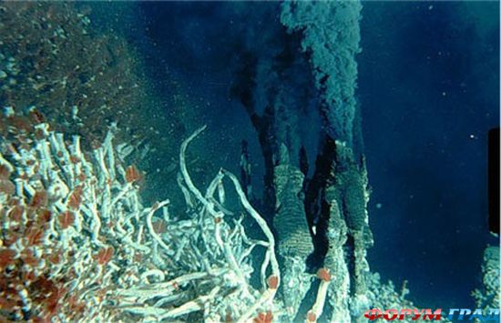 deep-sea-hydrothermal-vent-16
