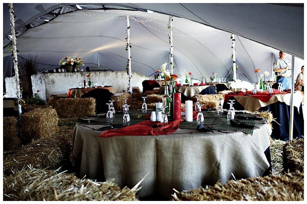 farm-wedding-cape-town-hay-ride-02