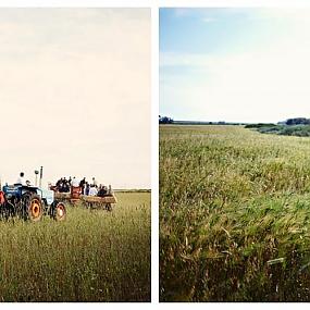 farm-wedding-cape-town-hay-ride