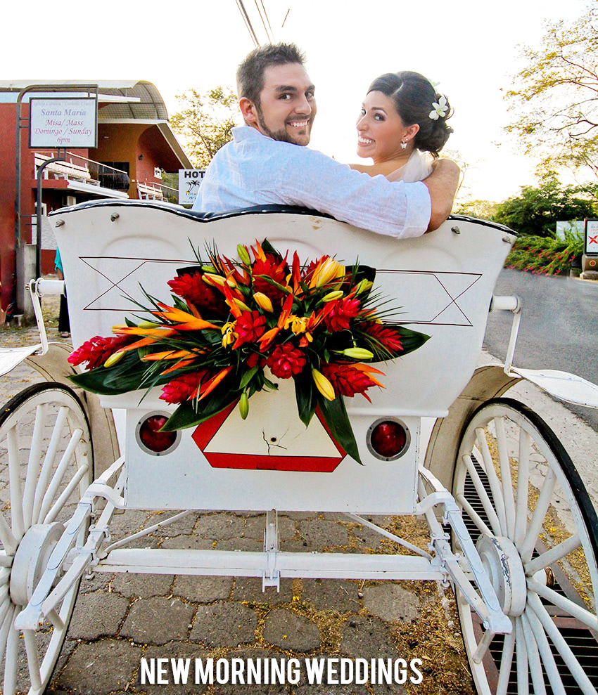 horse-carriage-wedding