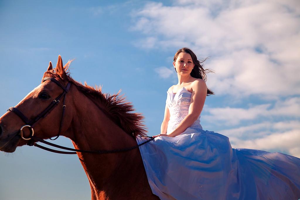 horse-themed-wedding