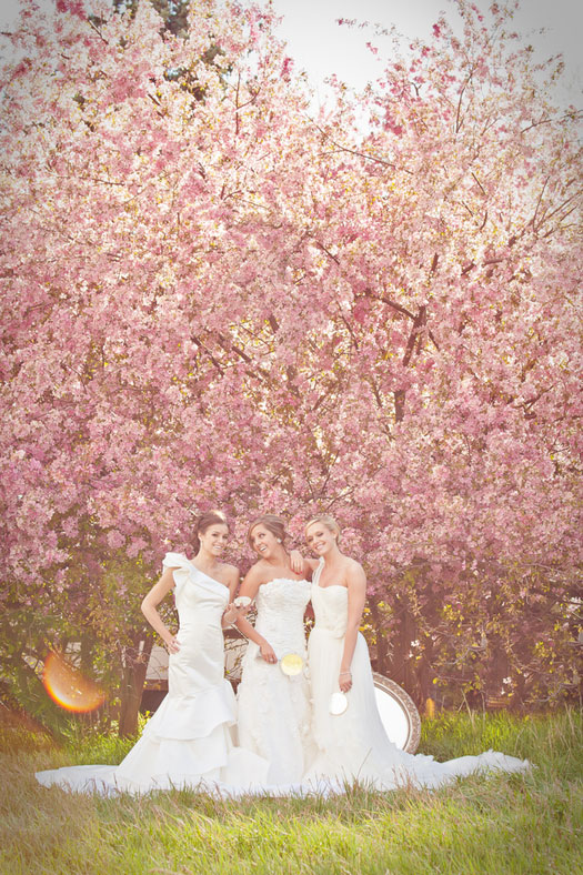 pink-crab-apple-wedding-inspiration