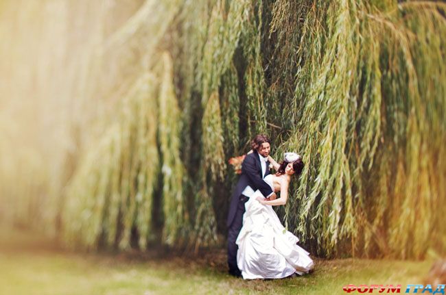newlyweds-under-tree-01
