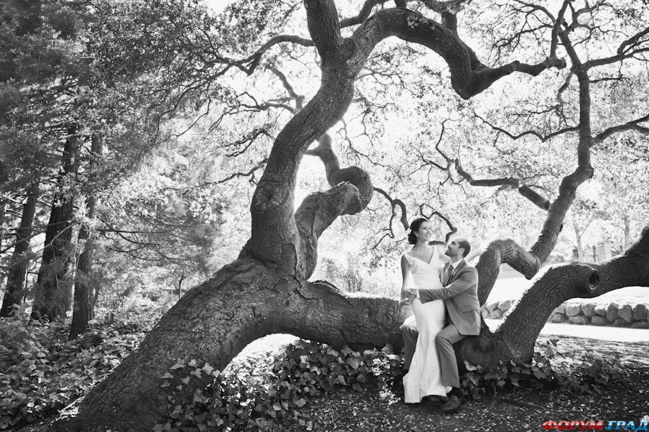 san-francisco-piedmont-center-newlyweds-under-tree