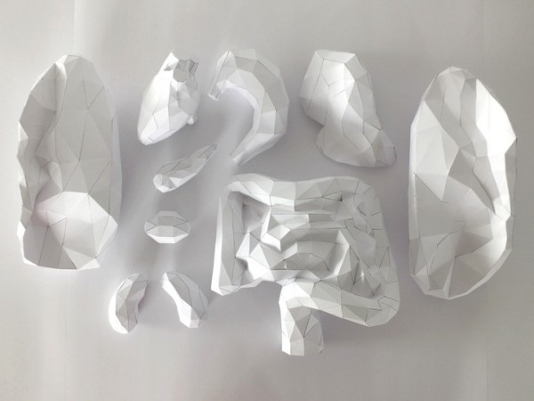 paper-torso-with-removable-organs