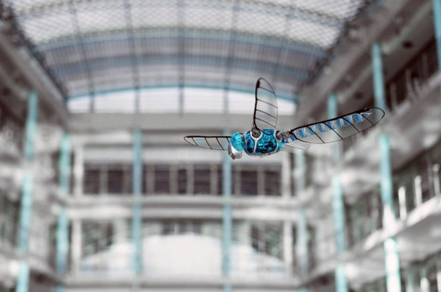 robotic-dragonfly-by-festo