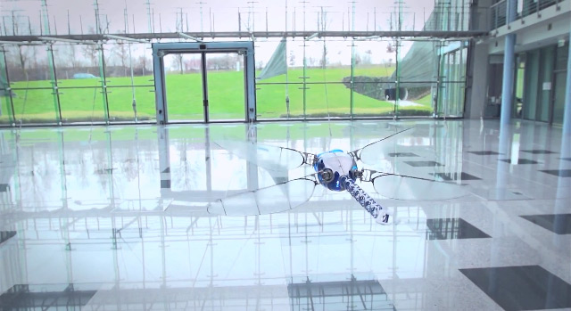 robotic-dragonfly-by-festo