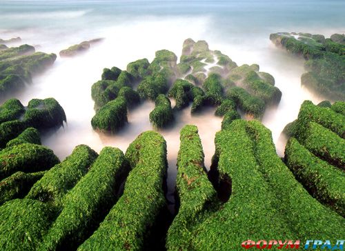 Тайвань остров