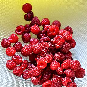 raspberry-vinaigrette-recipe-03
