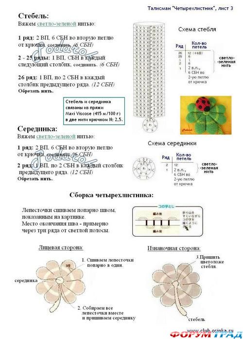 описание божьей коровки