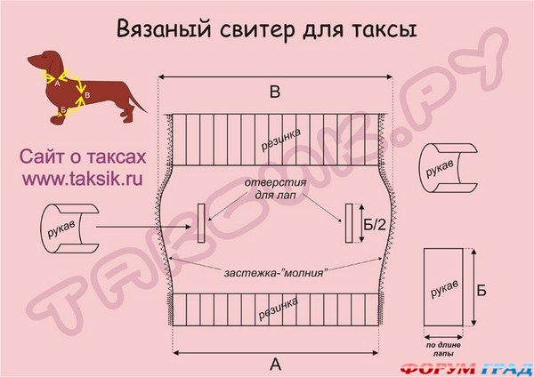 свитер для таксы