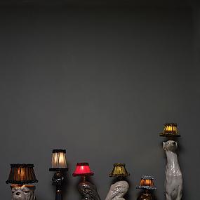 animal-lamps-by-atelier-abigail-ahern-01