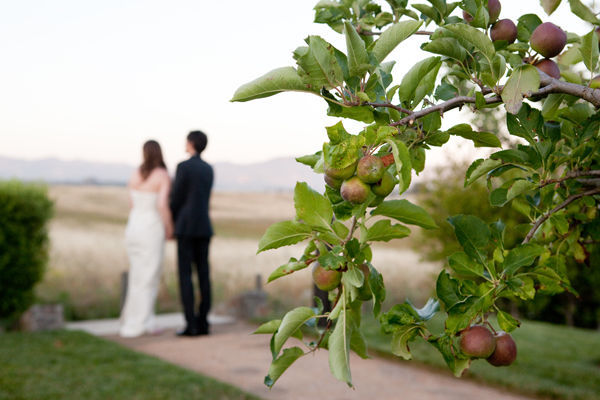 small-wedding-in-napa-california-38