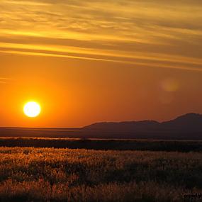 sunset-in-namibia-01