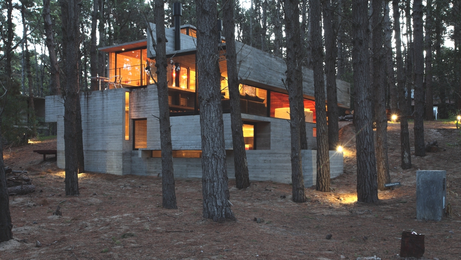 Современный дом в лесу