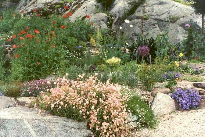 alpine-garden-05