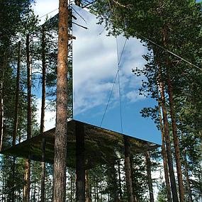 treehotel-in-sweden-01