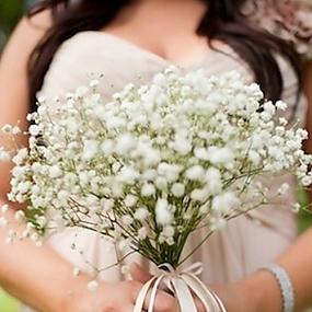 babys-breath-in-your-wedding-28