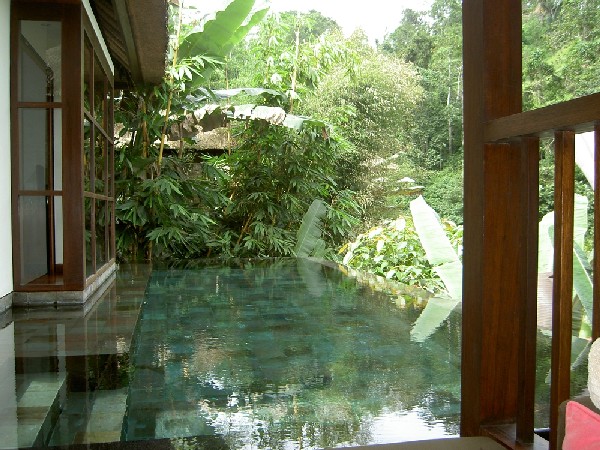 Большой басейн отеля Ubud Hanging Gardens