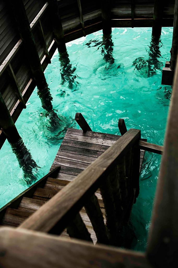 Спуск в воду из коттеджа отеля Gili Lankanfushi на Мальдивах