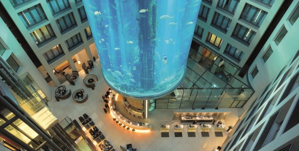 Помещение с лифтом внутри аквариума