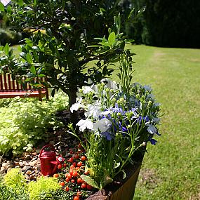 miniature-garden-01